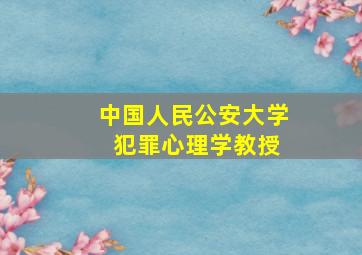 中国人民公安大学 犯罪心理学教授